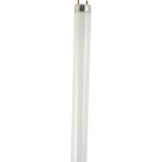 Лампа линейная люминесцентная ЛЛ 36вт L 36/640 G13 белая Osram