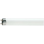 Лампа линейная люминесцентная ЛЛ 36вт L36/765 G13 дневная Osram