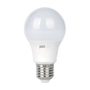 Лампа светодиодная LED 10Вт A60 E27 6500K низковольтная 12-48V